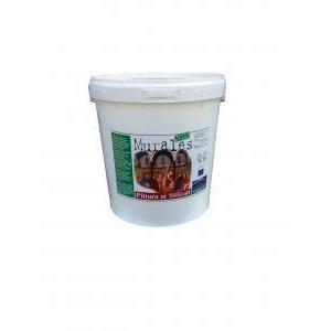 Murales silicato bianco 14 lt